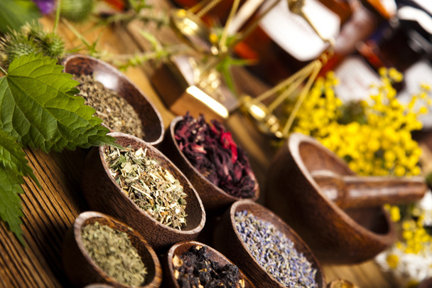 Fresh medicinal herbs - Photo, Image