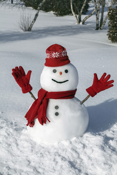 grappig sneeuwpop in zijn rode outfit - Foto, afbeelding