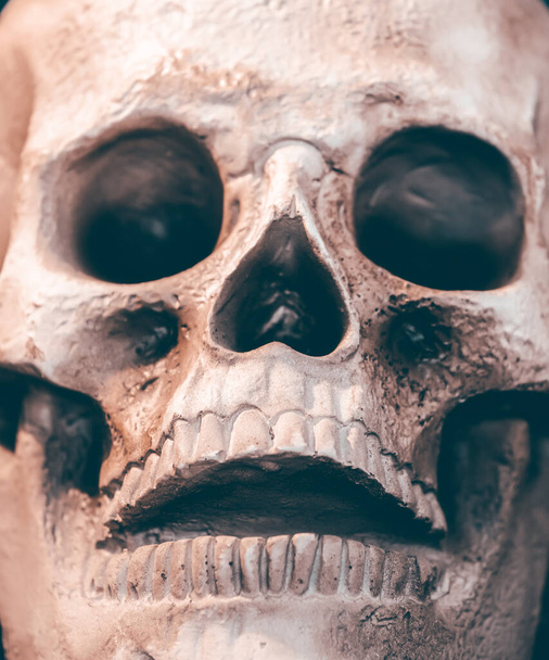 Scary grunge skull wallpaper. Halloween background. - Foto, afbeelding