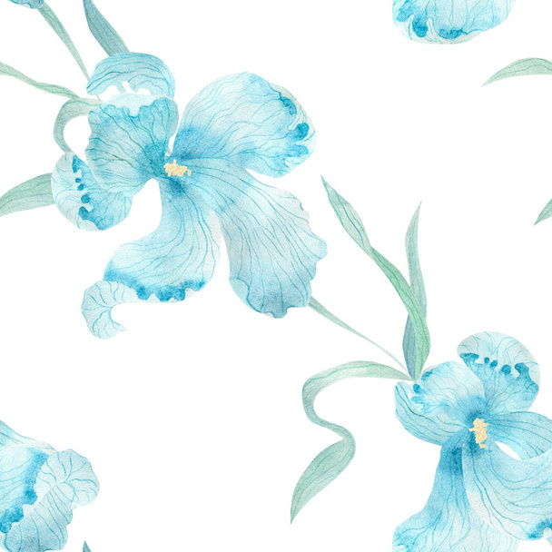 Watercolor background with blue irises flowers - Фото, зображення