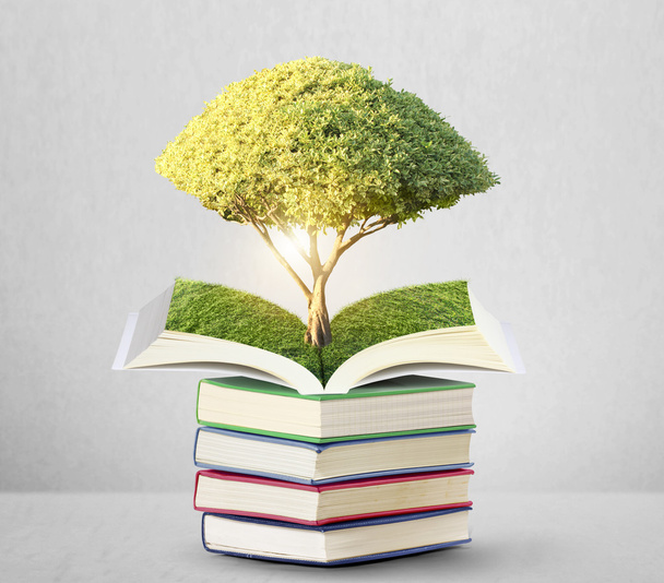 otwarta książka z zielonym drzewem - Zdjęcie, obraz
