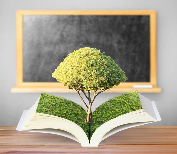 libro aperto con albero verde - Foto, immagini