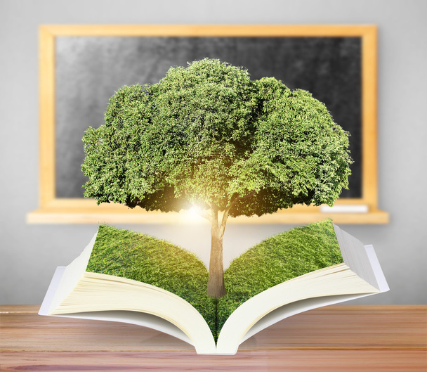 otwarta książka z zielonym drzewem - Zdjęcie, obraz