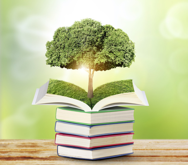libro aperto con albero verde - Foto, immagini