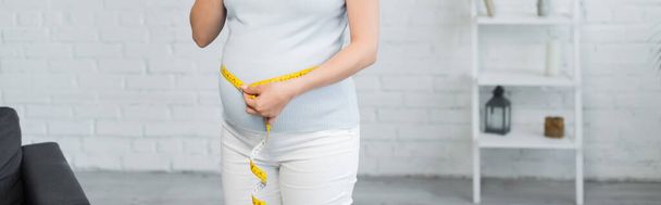 vista parziale della donna incinta misurazione della dimensione della pancia in soggiorno, banner - Foto, immagini