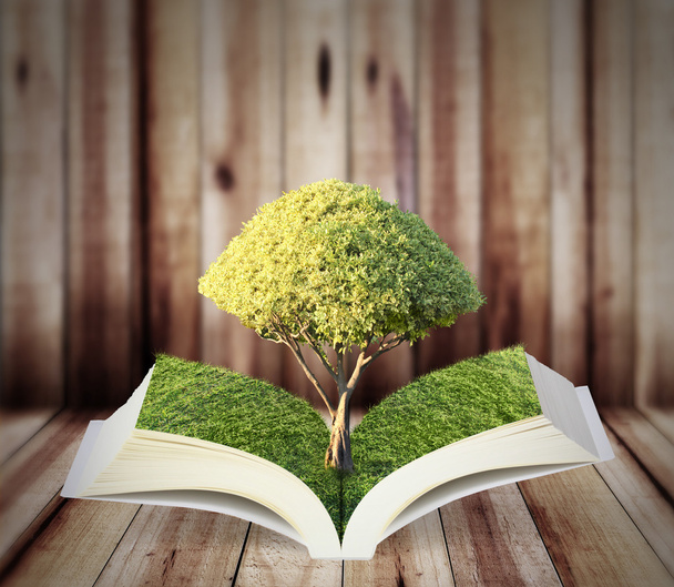 відкрита книга з зеленим деревом
 - Фото, зображення