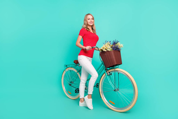 Full length body size photo woman keeping vintage bicycle flower basket isolated vivid teal color background - Foto, Imagem