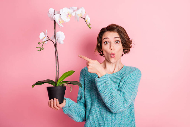Photo of amazed excited young woman hold flower in pot point index finger isolated on pink color background - Fotoğraf, Görsel