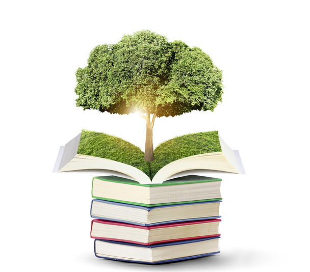 ανοιχτό βιβλίο με πράσινο δέντρο - Φωτογραφία, εικόνα