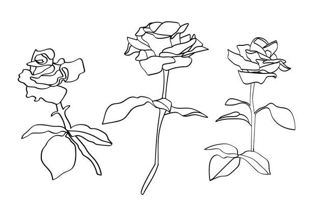 Motif Roses .Image sur un fond blanc et couleur.Vecteur. - Vecteur, image