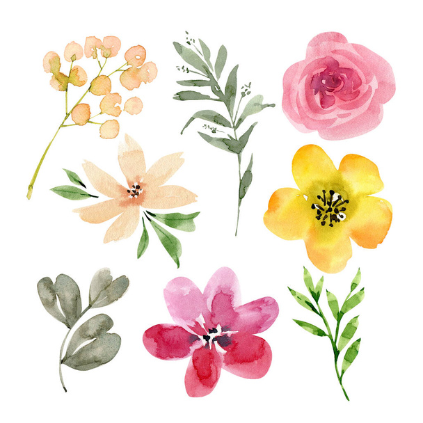 zestaw delikatnych akwareli kwiaty i rośliny, ręcznie malowane - Zdjęcie, obraz