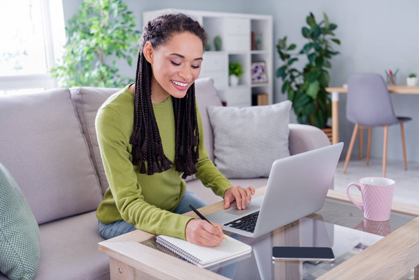 Photo of charming pretty woman dressed sweater sitting sofa chatting modern gadget wring diary indoors house home room - Φωτογραφία, εικόνα