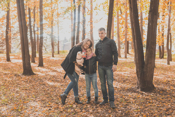 Aile, sonbahar parkında bir köpekle vakit geçirir. Baba, anne, kız ve Jack Russell teriyer köpeği sonbaharda eğleniyorlar. - Fotoğraf, Görsel