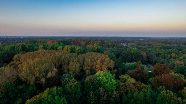Aerial bird view over beautiful temperate coniferous forest over top of trees showing the amazing different green pine forest colors. Air hum, flying low over a dense forest landscape. - 写真・画像