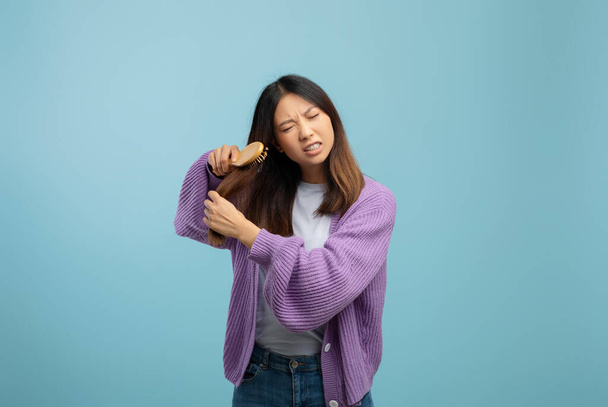 Problém se zamotáváním vlasů. Mladá asijská dáma rozplétání a kartáčování její spletené vlasy s hřebenem, modré pozadí - Fotografie, Obrázek