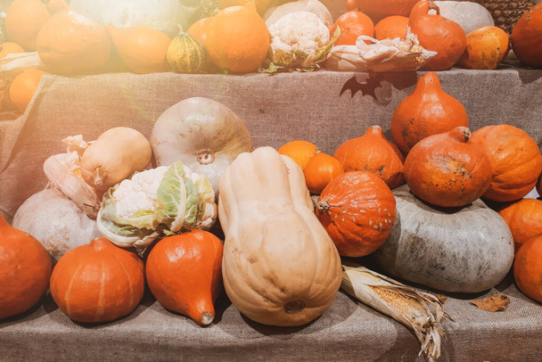 Verse pompoenen op de boerenmarkt op het platteland. Oogst, Halloween en dankzegging symbool. Rijpe groenten op planken te koop. - Foto, afbeelding