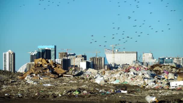 ゴミ捨て場。高層ビル、クレーンや大都市の家と建設現場 - 映像、動画