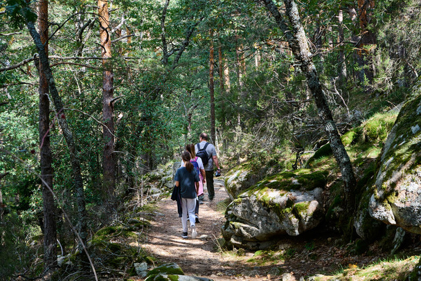 A group of hikers walking in the forest in spring - Foto, afbeelding