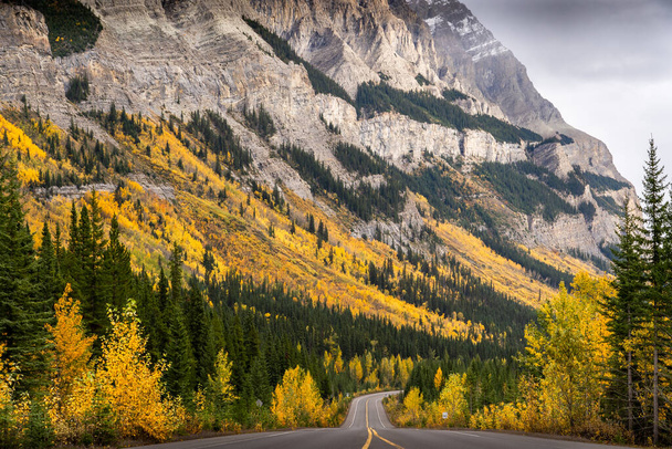 秋の色の間にバンフ国立公園カナダの氷原パークウェイ. - 写真・画像