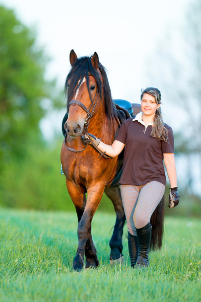 žena a kůň v poli - Fotografie, Obrázek