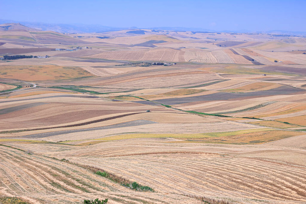 Paysage rural typique des Pouilles dans le sud de l'Italie : collines avec des champs de blé récoltés en été. - Photo, image