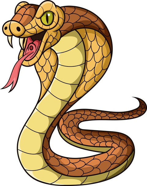 Векторна ілюстрація мультфільму Король кобра змія на білому тлі
 - Вектор, зображення
