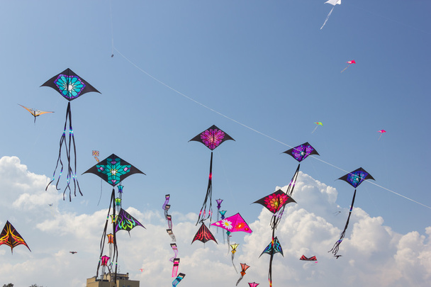 Festival de cerfs-volants
 - Photo, image
