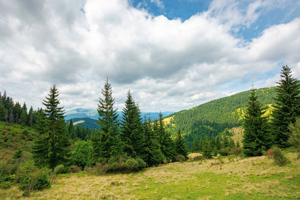 mountainous summer landscape with view in to the valley. trees on the hill beneath a cloudy afternoon sky - Foto, imagen