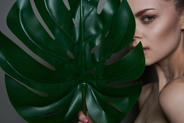 attractive woman palm leaf bare shoulders clear skin studio model - Φωτογραφία, εικόνα