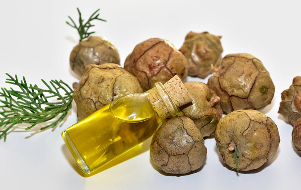 photos of pine cones and pine oil. - Photo, Image