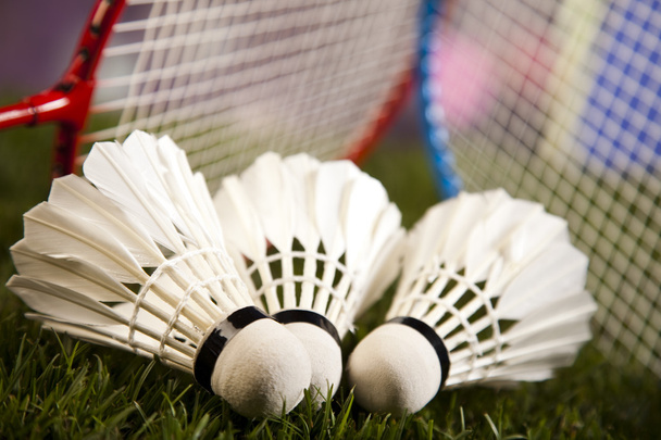 Federbälle mit Badmintonschlägern - Foto, Bild
