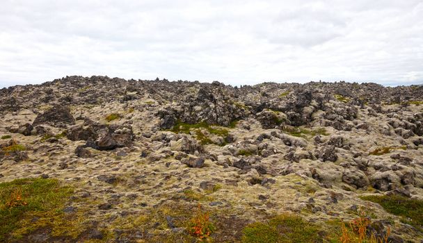 Oude lavaveld bedekt met groen mos, west IJsland - Foto, afbeelding