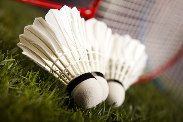 Shuttlecocks with badminton rackets - Photo, Image