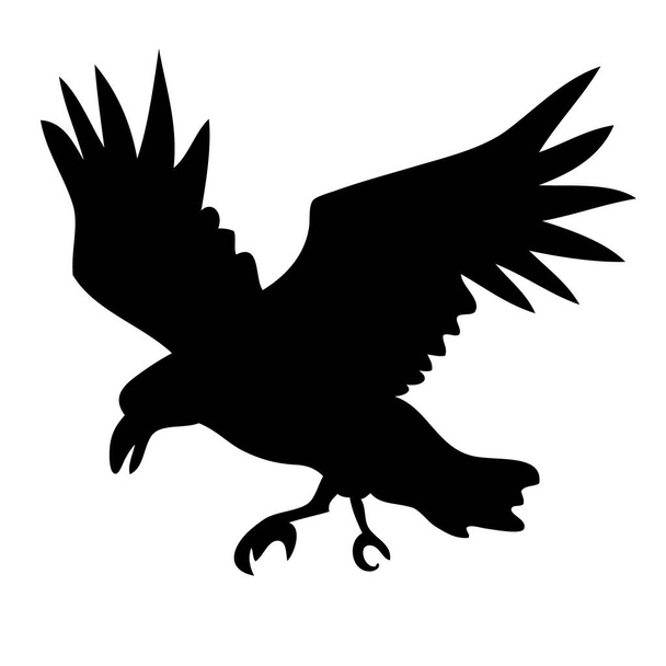 Realistic raven vector silhouette for icon. Hand drawn style - Vector, Image