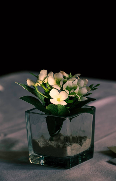 White fabric flowers in a glass container. Table decoration. Close up. Copy space - Фото, изображение