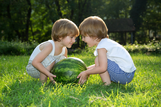 Happy Twin Brothers Playing with Watermelon on Green Grass in Summer Park - Valokuva, kuva