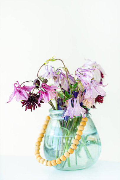 mooie bloemen close up - Foto, afbeelding