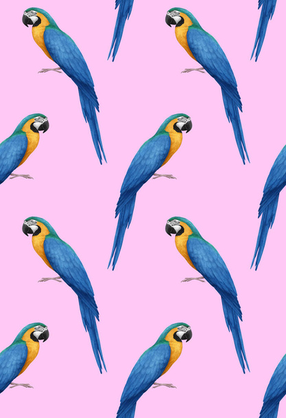 parrots pattern hand drawn birds background  - Zdjęcie, obraz