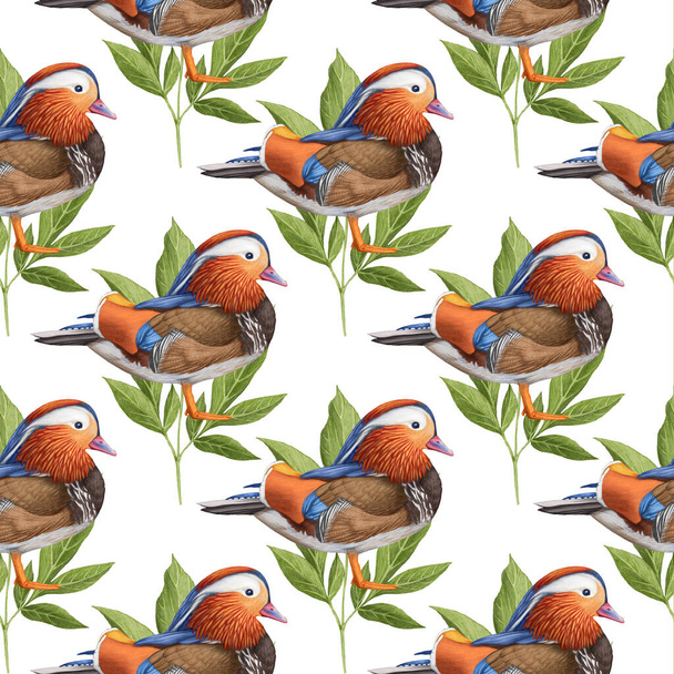 pattern with hand drawn birds  - Photo, Image