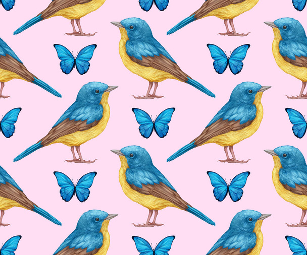 pattern with hand drawn birds  - Foto, afbeelding