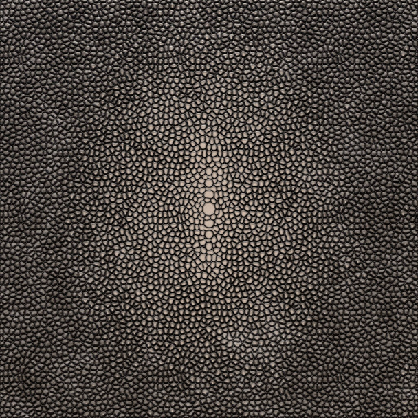 Genuine shagreen leather. Textured background of shagreen leather close-up. 3D-rendering - Photo, image