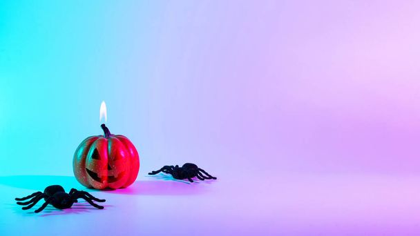 Cadılar bayramın kutlu olsun. Kara gece örümceği, korkunç ürkütücü balkabağı ve neon renkli cadılar bayramı arka planı. Mutlu Cadılar Bayramı konsepti. Çerçeve. Boşluğu kopyala - Fotoğraf, Görsel