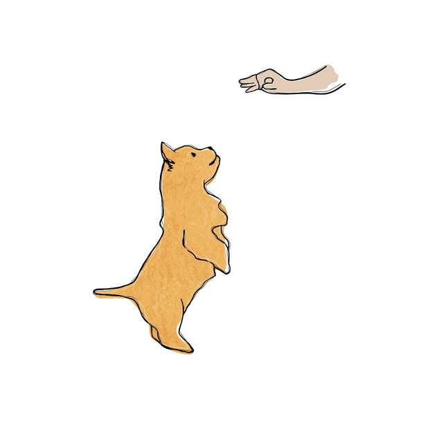 Ilustração vetorial de treinamento de cães - Vetor, Imagem