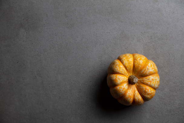 A single autumnal pumpkin on a dark concrete background - Valokuva, kuva