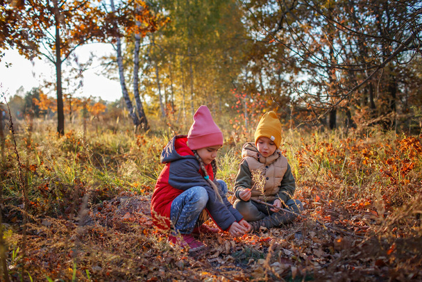 Two siblings have rest in fall forest during autumn walk. Outdoor lifestyle, active family weekend - Photo, Image