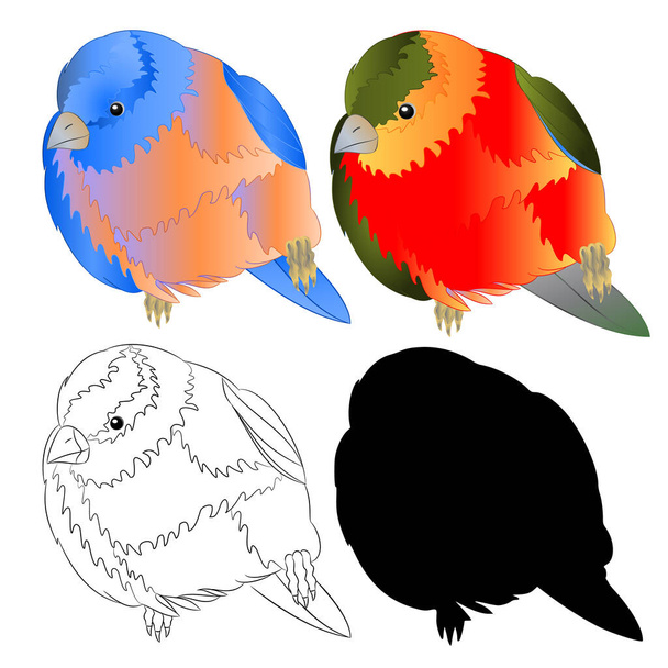 Mavi kuş ardıç kuşu ve tropikal kuş anahatları ve silueti beyaz arka plan vintage vektör illüstrasyon düzenlenebilir el çizimi - Vektör, Görsel