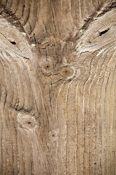 Textura de madeira da placa - Foto, Imagem