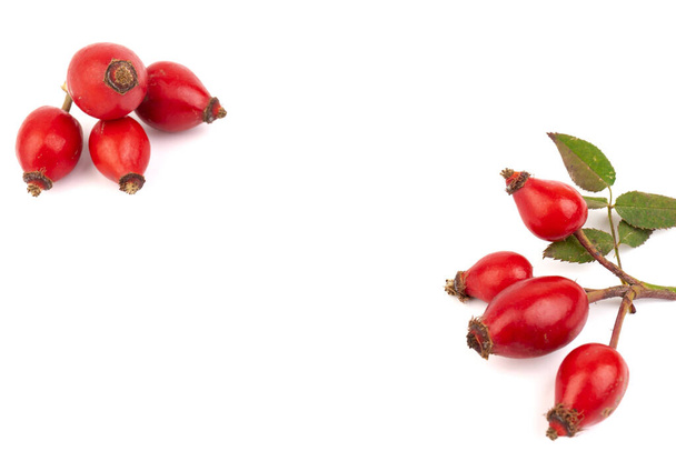 Rosehips ( Rosa Canina fruits), isolated on white background. - Photo, Image