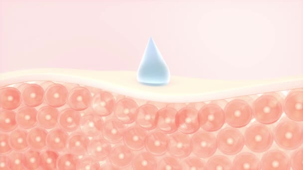 Hautzellen absorbieren das Serum, 3D-Rendering. - Filmmaterial, Video