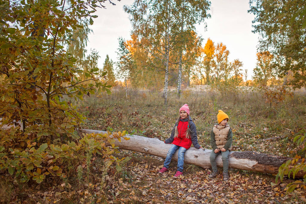Dos hermanos se sientan en un árbol seco caído en un hermoso bosque de otoño durante la caminata de otoño familiar - Foto, imagen
